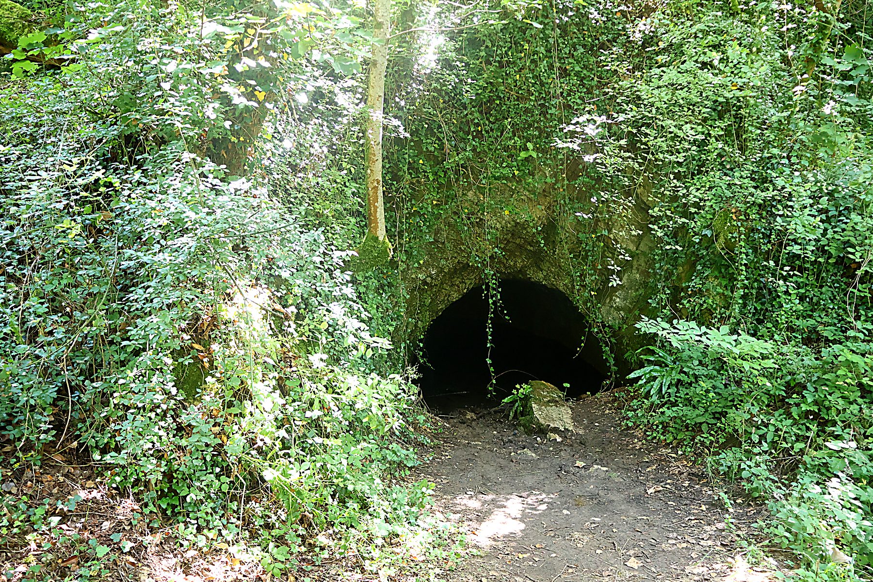 Un arco scuro nella pietra circondato da vegetazione e luce