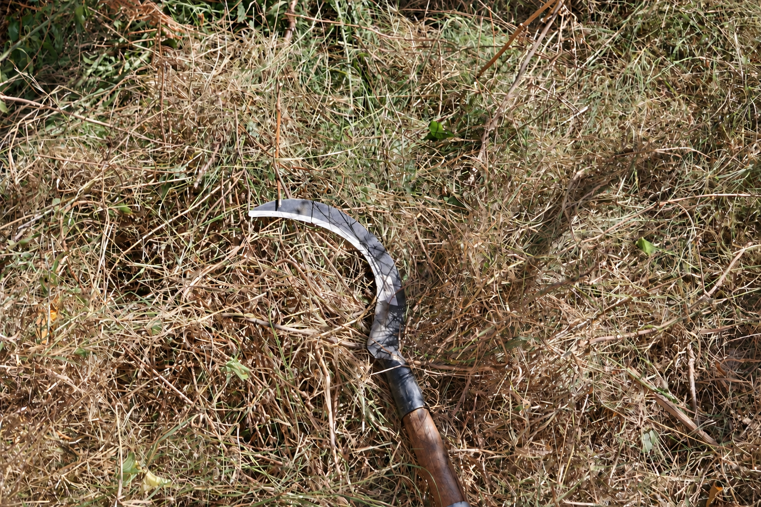 La falce appoggiata sull’erba tagliata