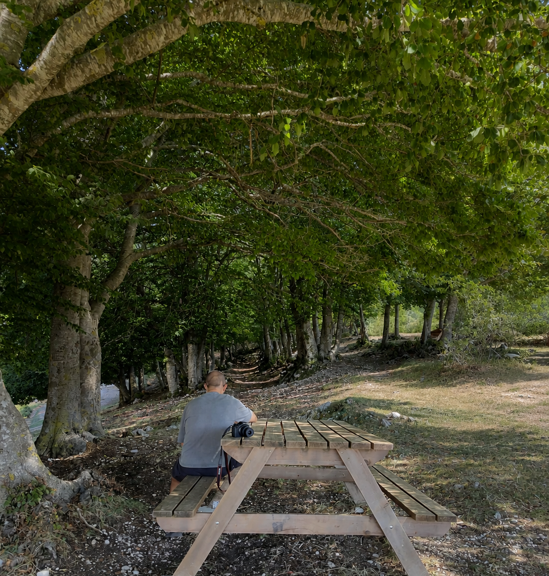 Una persona osserva il sentiero davanti a sé, seduta a un tavolo sotto gli alberi